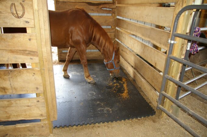 Ensuring Safety And Hygiene How to Properly Install And Maintain Stable Mats